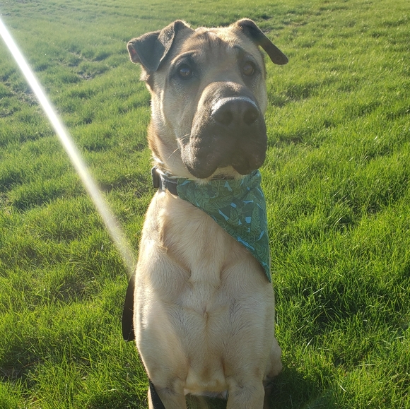 Welcome to my closet! - Picture 8 of 16